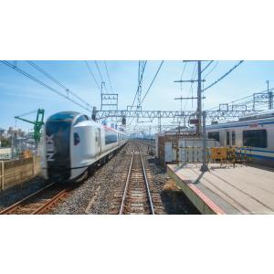 E217系 横須賀線?総武線快速 久里浜〜君津...の詳細画像4
