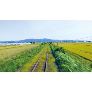 JR留萌本線 惜別 留萌への鉄路 深川〜留萌 ...の詳細画像3