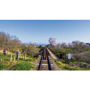 春の樽見鉄道 全線往復 ビコムストア 【ブルーレイ】の詳細画像1