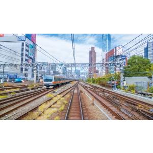 E231系1000番台 湘南新宿ライン・特別快...の詳細画像2