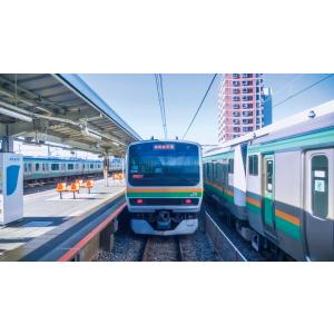 E231系1000番台 湘南新宿ライン・特別快...の詳細画像4