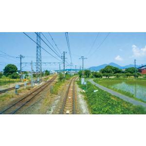 展望 273系 特急やくも 出雲市〜岡山 ビコ...の詳細画像2