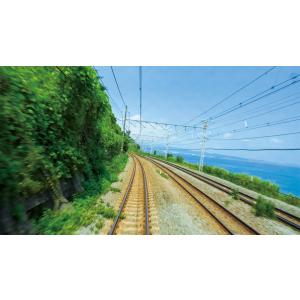 E231系1000番台 上野東京ライン 熱海〜...の詳細画像1