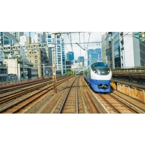 E231系1000番台 上野東京ライン 熱海〜...の詳細画像2