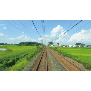 E231系1000番台 上野東京ライン 熱海〜...の詳細画像4