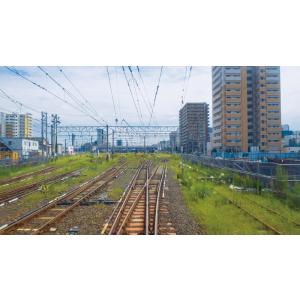 リゾート しらかみ2号「青池」編成 JR五能線...の詳細画像4