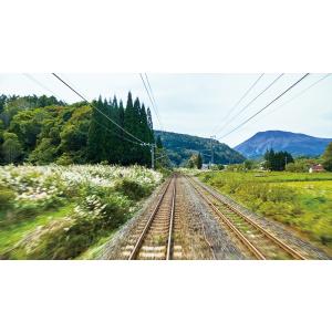しなの鉄道全線 115系横須賀色 妙高高原〜長...の詳細画像1