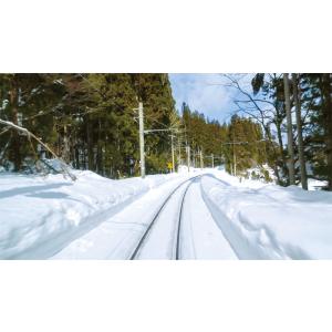 383系 冬の臨時特急 しなの81号 名古屋〜...の詳細画像4