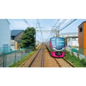 東京都交通局10-300形 急行 都営新宿線&...の詳細画像4