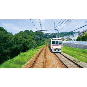 東京都交通局10-300形 急行 都営新宿線&...の詳細画像5