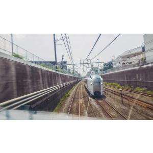 E259系 特急しおさい 3号 東京 〜 銚子...の詳細画像2