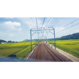 E259系 特急しおさい 3号 東京 〜 銚子...の詳細画像4