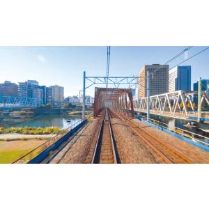 E257系 特急踊り子 東京 〜 伊東 〜 伊...の詳細画像2