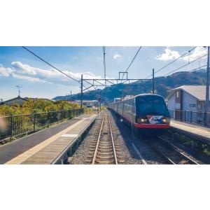 E257系 特急踊り子 東京 〜 伊東 〜 伊...の詳細画像3