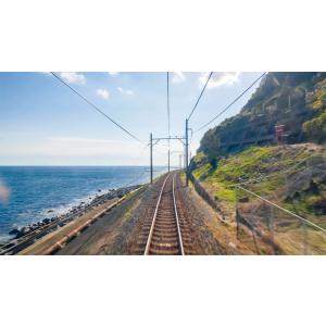 E257系 特急踊り子 東京 〜 伊東 〜 伊...の詳細画像4