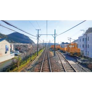 E257系 特急踊り子 東京 〜 伊東 〜 伊...の詳細画像5