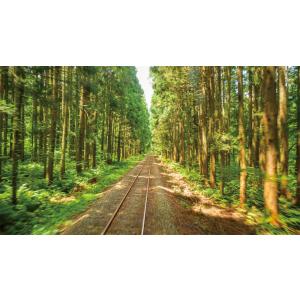 秋田内陸縦貫鉄道 急行 もりよし 秋田内陸線 ...の詳細画像3