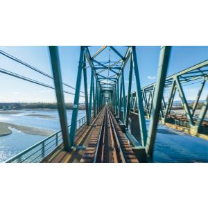 313系5000番台 新快速 東海道本線 大垣...の詳細画像2