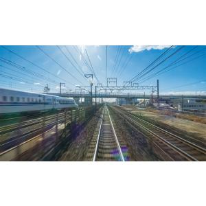 313系5000番台 新快速 東海道本線 大垣...の詳細画像3