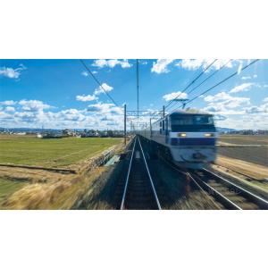 313系5000番台 新快速 東海道本線 大垣...の詳細画像4