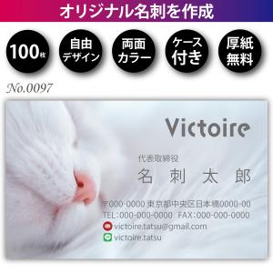 名刺 名刺作成 名刺印刷 格安 100枚 両面フルカラー ケース付 No.0146