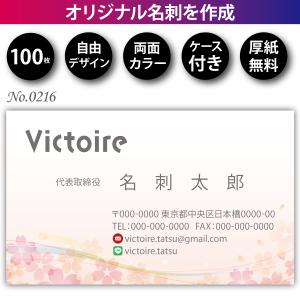 名刺２枚 名刺 名刺作成 名刺印刷 格安 100枚 両面フルカラー ケース付 No.0216