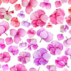 ポーセラーツ 転写紙 花柄 WATER HYDRANGEA (ウォーターハイドランジア・ピンク)｜victoriadesign