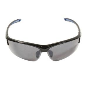 SWANS（スワンズ） （メンズ、レディース）STRIX D.A. 調光レンズ