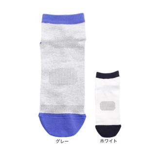 SEV（セブ） （メンズ）半袖Tシャツ SEVSP TEE001 : VictoriaGolf