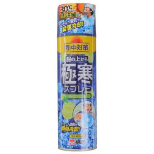 桐灰科学（メンズ）熱中対策 服の上から極寒スプレー シトラス 330ml｜victoriagolf