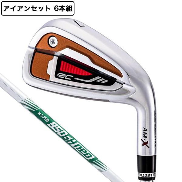 ロイヤルコレクション（ROYALCOLLECTION）（メンズ）AM-X アイアンセット 6本(5I...