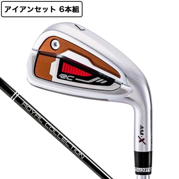 ロイヤルコレクション（ROYALCOLLECTION）（メンズ）AM-X アイアンセット 6本(5I...