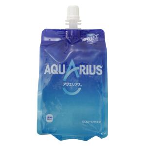 アクエリアス（AQUARIUS）（メンズ、レディース、キッズ）アクエリアス ハンディパック