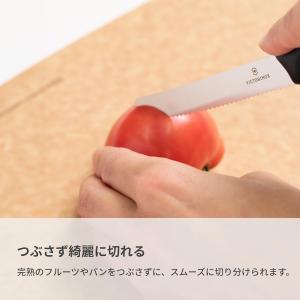 ビクトリノックス VICTORINOX 公式 ...の詳細画像5