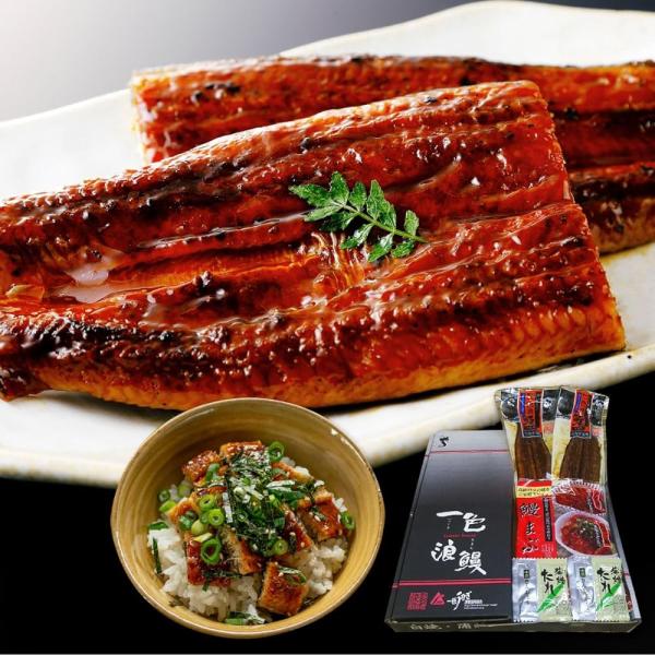 うなぎの蒲焼き 国産 愛知三河一色産 長焼 約130g×2尾 鰻まぶしセット 50g×2食  個包装...