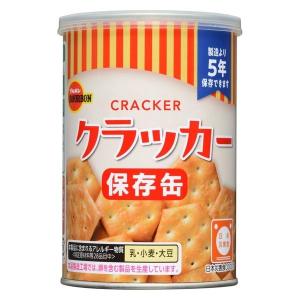 非常食 保存食セット ビスコ 保存缶 ブルボン...の詳細画像4