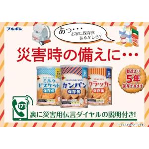 非常食 保存食セット ビスコ 保存缶 ブルボン...の詳細画像5