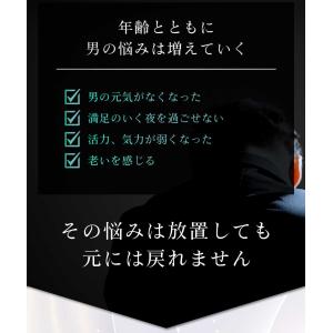 【公式販売店】スタリオン フィルム型サプリメン...の詳細画像3