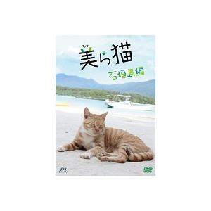【中古】猫の島 石垣島編  b47703【レンタル専用DVD】