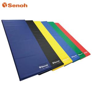 Senoh セノー エアロビクスマット BH9391 トレーニング