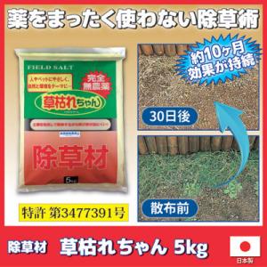 除草剤 安全 無農薬 除草材 草枯れちゃん 5kg 雑草対策 庭 砂利 玄関 安心 子供 ペット 犬 猫 無害 草取 草刈 雑草取り 日本製