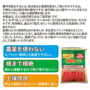 除草剤 安全 無農薬 除草材 草枯れちゃん 5...の詳細画像1