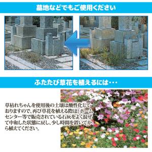 除草剤 安全 無農薬 除草材 草枯れちゃん 5...の詳細画像4