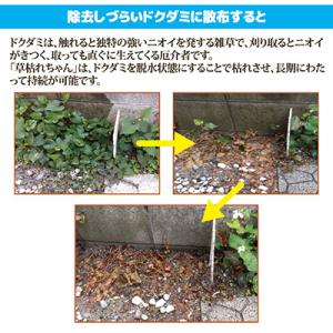 除草剤 安全 無農薬 除草材 草枯れちゃん 5...の詳細画像3