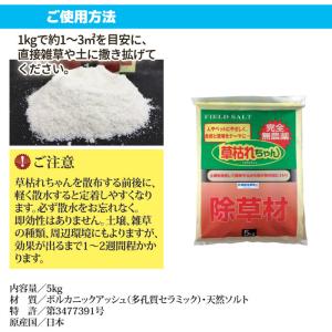 除草剤 安全 無農薬 除草材 草枯れちゃん 5...の詳細画像5