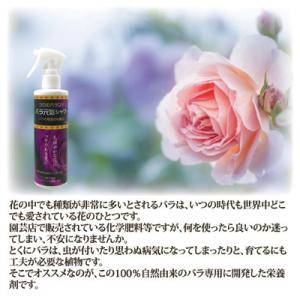 バラ元気シャワー 薔薇 肥料 栄養剤 活力剤 ...の詳細画像1