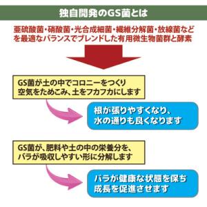 バラ元気シャワー 薔薇 肥料 栄養剤 活力剤 ...の詳細画像4