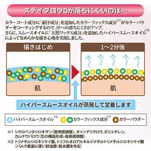 パピリオ ステイブロウG リフィル 詰め替え ...の詳細画像5