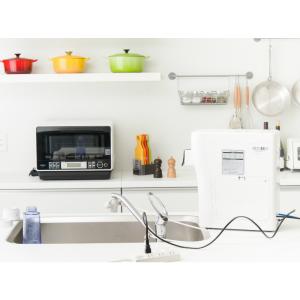 個数：1個】サンキューテクノス CHP-1290D RO浄水器 TERESA City