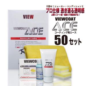 コーティング剤 ACE 50gセット  スポンジ・クロス同梱版  車 カーコーティング ガラス系コーティング ビューコート エース [5月限定コーティング剤１０％増量]